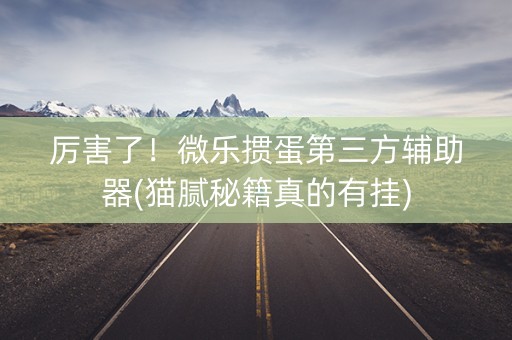 厉害了！微乐掼蛋第三方辅助器(猫腻秘籍真的有挂)