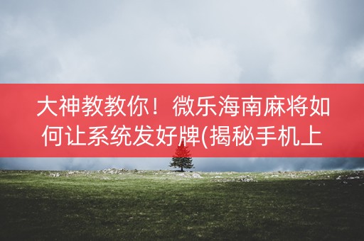大神教教你！微乐海南麻将如何让系统发好牌(揭秘手机上必备神器)