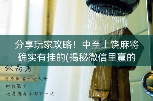 分享玩家攻略！中至上饶麻将确实有挂的(揭秘微信里赢的诀窍)