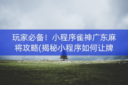 玩家必备！小程序雀神广东麻将攻略(揭秘小程序如何让牌变好)