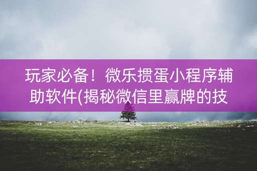 玩家必备！微乐掼蛋小程序辅助软件(揭秘微信里赢牌的技巧)