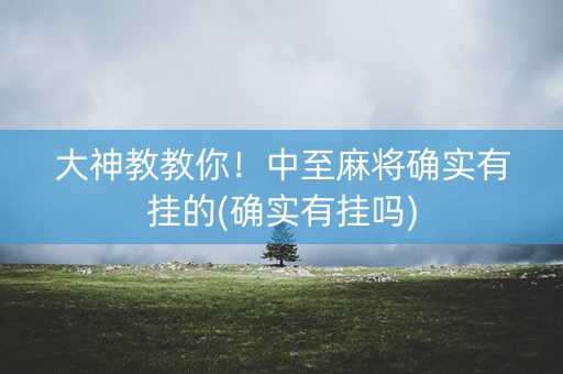 大神教教你！中至麻将确实有挂的(确实有挂吗)