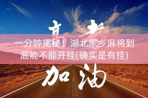 一分钟揭秘！湖北家乡麻将到底能不能开挂(确实是有挂)