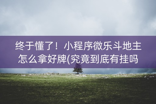 终于懂了！小程序微乐斗地主怎么拿好牌(究竟到底有挂吗)