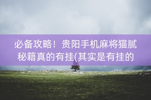 必备攻略！贵阳手机麻将猫腻秘籍真的有挂(其实是有挂的)