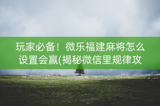 玩家必备！微乐福建麻将怎么设置会赢(揭秘微信里规律攻略)