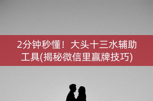 2分钟秒懂！大头十三水辅助工具(揭秘微信里赢牌技巧)