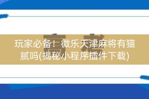 玩家必备！微乐天津麻将有猫腻吗(揭秘小程序插件下载)