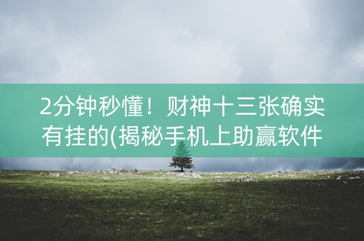 2分钟秒懂！财神十三张确实有挂的(揭秘手机上助赢软件)