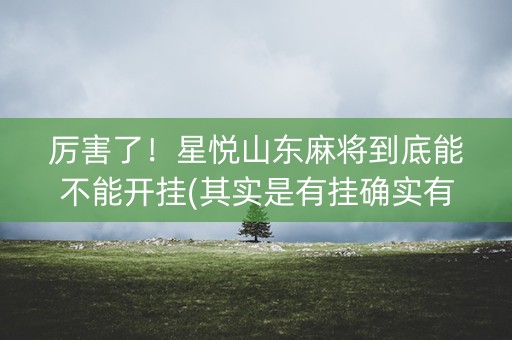 厉害了！星悦山东麻将到底能不能开挂(其实是有挂确实有挂)