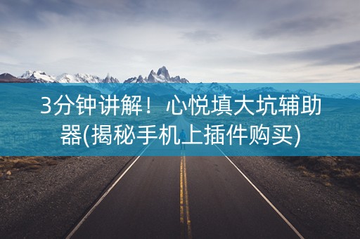 3分钟讲解！心悦填大坑辅助器(揭秘手机上插件购买)