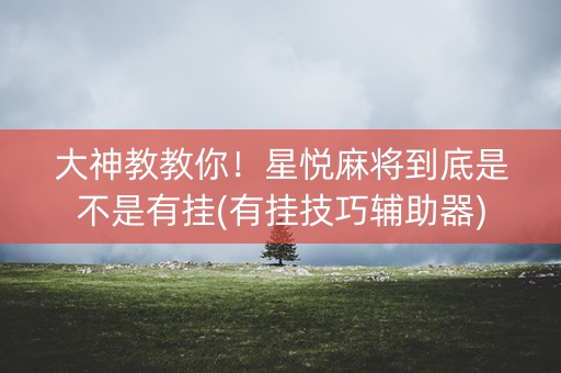 大神教教你！星悦麻将到底是不是有挂(有挂技巧辅助器)