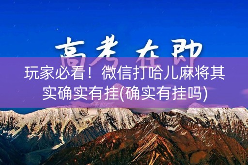 玩家必看！微信打哈儿麻将其实确实有挂(确实有挂吗)