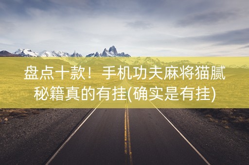 盘点十款！手机功夫麻将猫腻秘籍真的有挂(确实是有挂)