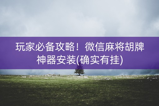 玩家必备攻略！微信麻将胡牌神器安装(确实有挂)