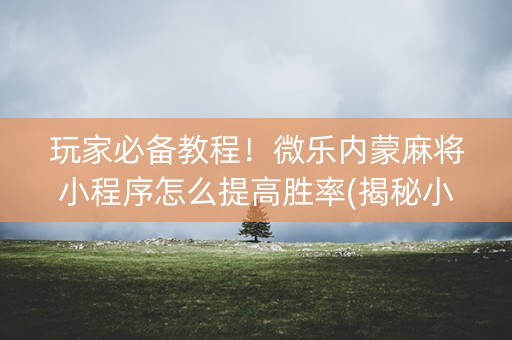 玩家必备教程！微乐内蒙麻将小程序怎么提高胜率(揭秘小程序胡牌技巧)