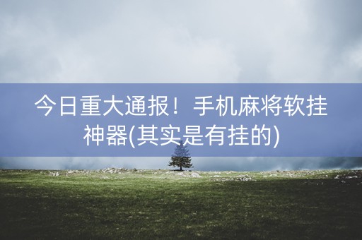 今日重大通报！手机麻将软挂神器(其实是有挂的)