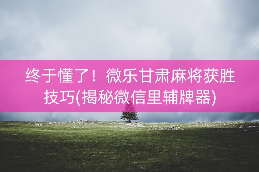 终于懂了！微乐甘肃麻将获胜技巧(揭秘微信里辅牌器)