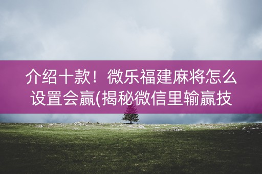 介绍十款！微乐福建麻将怎么设置会赢(揭秘微信里输赢技巧)