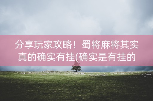 分享玩家攻略！蜀将麻将其实真的确实有挂(确实是有挂的)