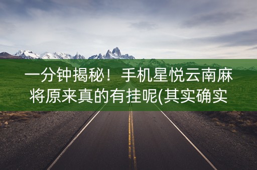 一分钟揭秘！手机星悦云南麻将原来真的有挂呢(其实确实有挂)