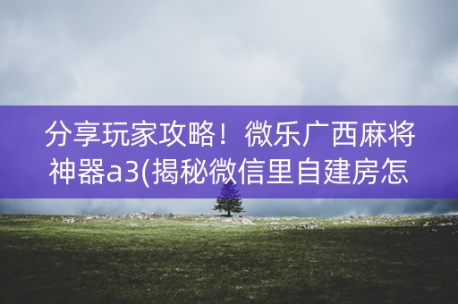 分享玩家攻略！微乐广西麻将神器a3(揭秘微信里自建房怎么赢)