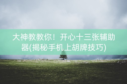 大神教教你！开心十三张辅助器(揭秘手机上胡牌技巧)