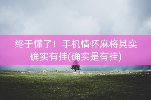 终于懂了！手机情怀麻将其实确实有挂(确实是有挂)