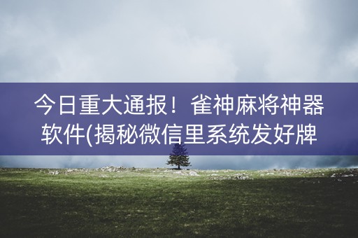今日重大通报！雀神麻将神器软件(揭秘微信里系统发好牌)