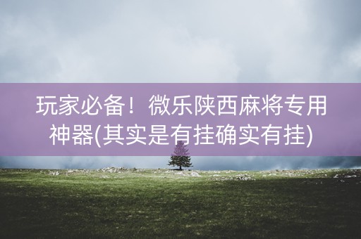 玩家必备！微乐陕西麻将专用神器(其实是有挂确实有挂)