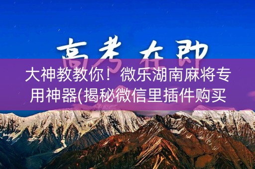 大神教教你！微乐湖南麻将专用神器(揭秘微信里插件购买)