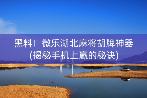黑料！微乐湖北麻将胡牌神器(揭秘手机上赢的秘诀)
