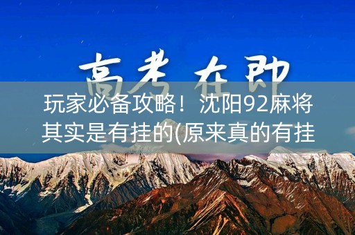 玩家必备攻略！沈阳92麻将其实是有挂的(原来真的有挂)