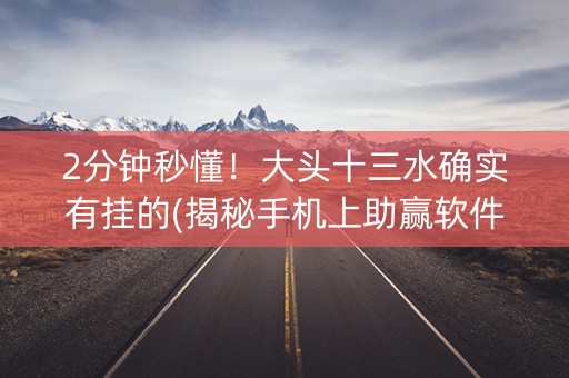 2分钟秒懂！大头十三水确实有挂的(揭秘手机上助赢软件)