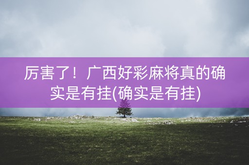 厉害了！广西好彩麻将真的确实是有挂(确实是有挂)