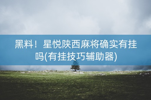 黑料！星悦陕西麻将确实有挂吗(有挂技巧辅助器)