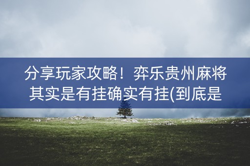 分享玩家攻略！弈乐贵州麻将其实是有挂确实有挂(到底是不是有挂)