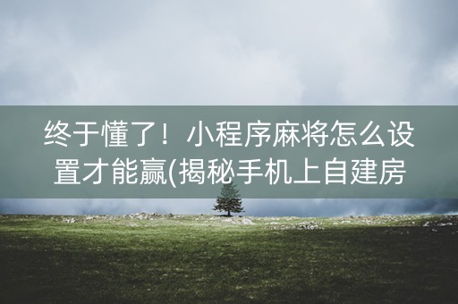 终于懂了！小程序麻将怎么设置才能赢(揭秘手机上自建房怎么赢)