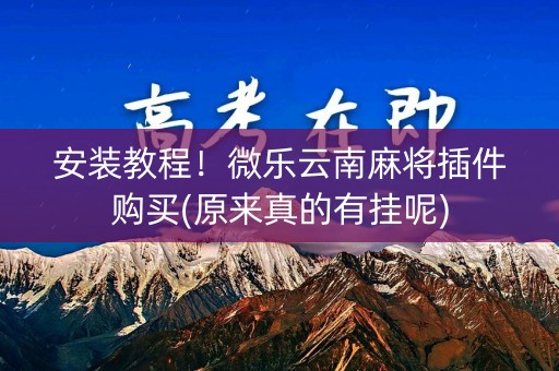 安装教程！微乐云南麻将插件购买(原来真的有挂呢)