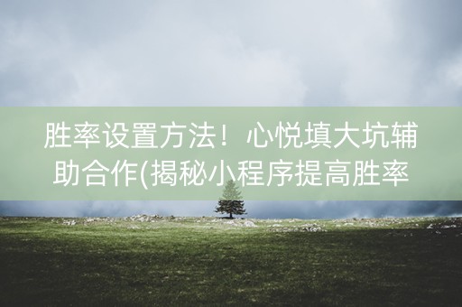 胜率设置方法！心悦填大坑辅助合作(揭秘小程序提高胜率)