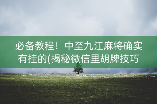 必备教程！中至九江麻将确实有挂的(揭秘微信里胡牌技巧)