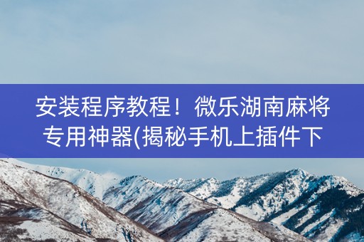 安装程序教程！微乐湖南麻将专用神器(揭秘手机上插件下载)