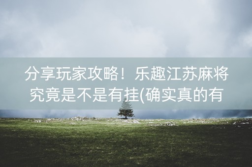 分享玩家攻略！乐趣江苏麻将究竟是不是有挂(确实真的有挂)