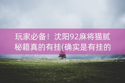 玩家必备！沈阳92麻将猫腻秘籍真的有挂(确实是有挂的)