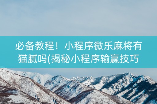 必备教程！小程序微乐麻将有猫腻吗(揭秘小程序输赢技巧)