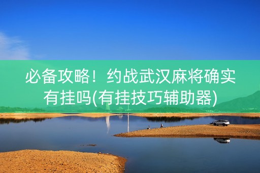 必备攻略！约战武汉麻将确实有挂吗(有挂技巧辅助器)
