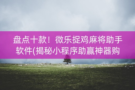 盘点十款！微乐捉鸡麻将助手软件(揭秘小程序助赢神器购买)