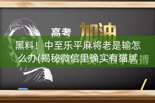黑料！中至乐平麻将老是输怎么办(揭秘微信里确实有猫腻)