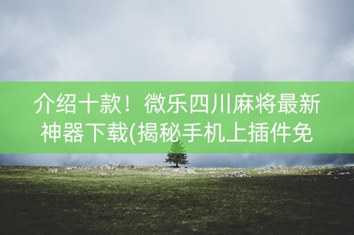 介绍十款！微乐四川麻将最新神器下载(揭秘手机上插件免费)