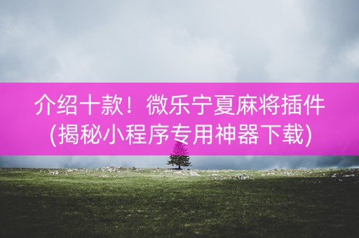 介绍十款！微乐宁夏麻将插件(揭秘小程序专用神器下载)